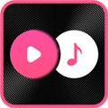 视频音频提取器